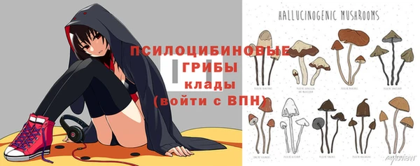 хмурый Алзамай