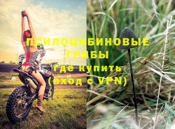 хмурый Алзамай