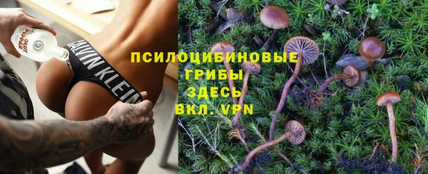 твердый Абаза