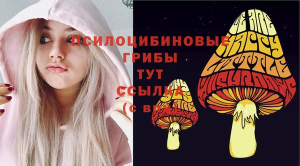хмурый Алзамай
