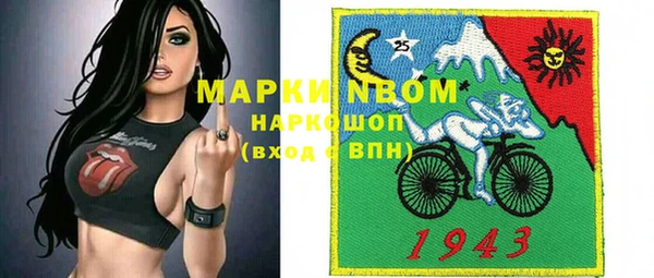 хмурый Алзамай