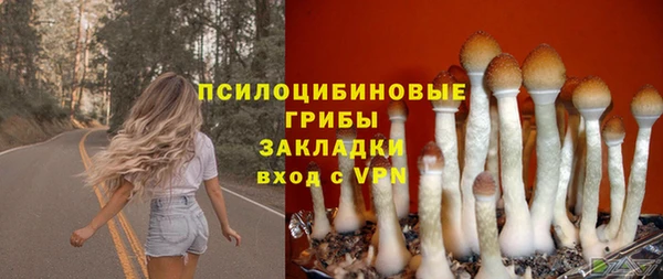 твердый Абаза