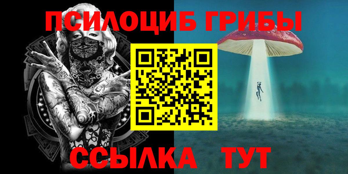 Псилоцибиновые грибы MAGIC MUSHROOMS  Вход с VPN  Псилоцибиновые грибы Psilocybine cubensis  купить наркотики цена  Новоалтайск 